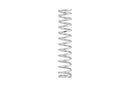 Eibach ERS 16.00 in. Length x 2.50 in. ID Coil-Over Spring-2