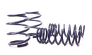 H&R 05-11 BMW M6 E64 Sport Spring-1