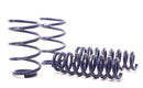 H&R 13-15 BMW X1 xDrive28i E84 Sport Spring (AWD Only)-1