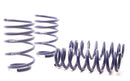 H&R 07-11 BMW 328i Sedan/335i Sedan E90 Race Spring-2